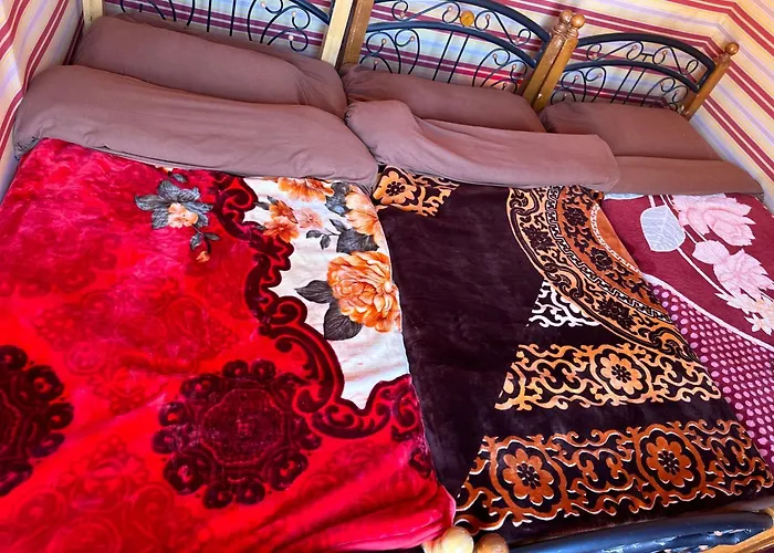 Bedouin Camp &Tour