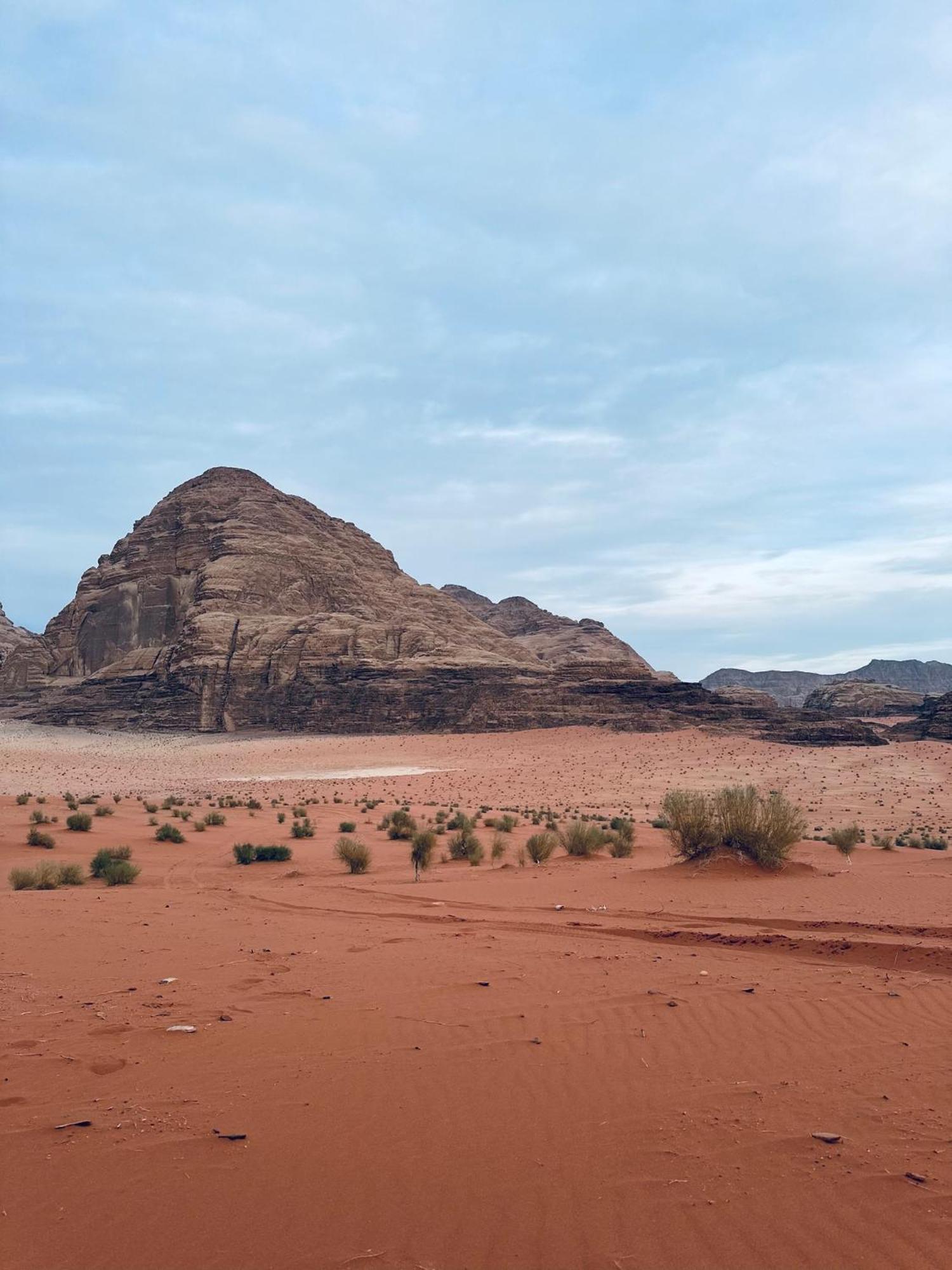 Bedouin Camp &tour