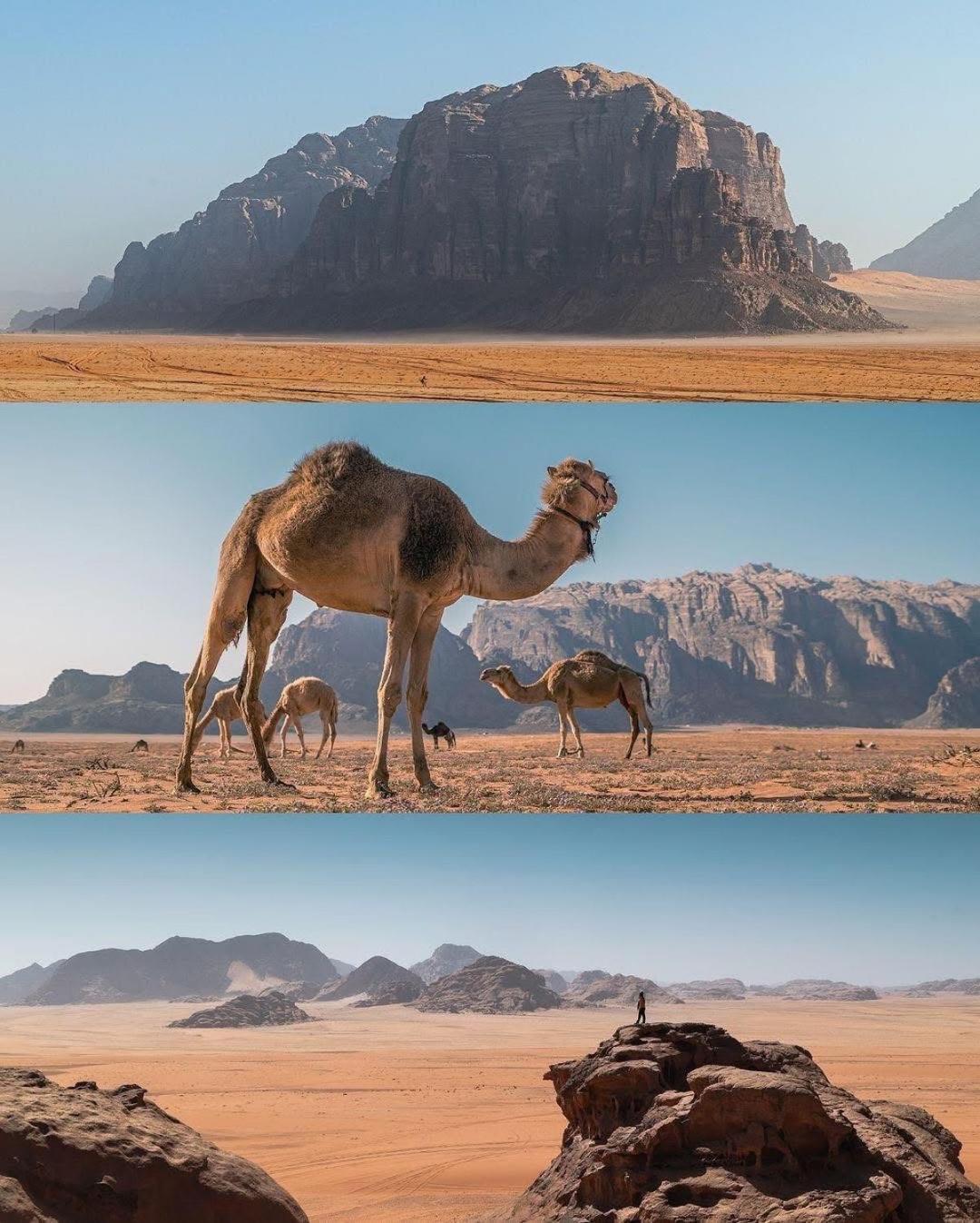 Parque de Campismo Bedouin Camp &tour *